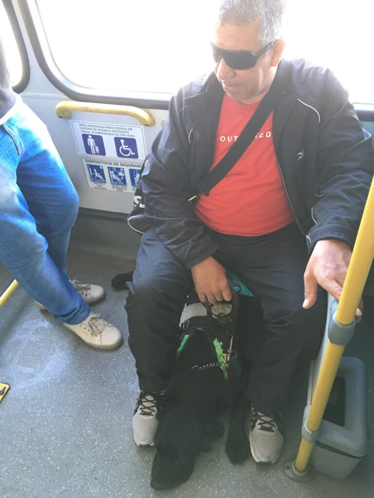 Na foto vemos um cego sentado no banco retrátil de um ônibus urbano, com o seu cão guia posicionado deitado no chão, embaixo do banco, com a cabeça entre seus pés. Ao lado do cego podemos ver a placa que designa o espaço para pessoas com cão guia ou cadeira de rodas.